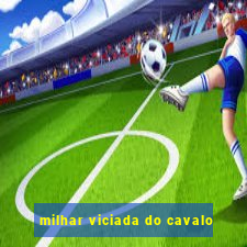 milhar viciada do cavalo